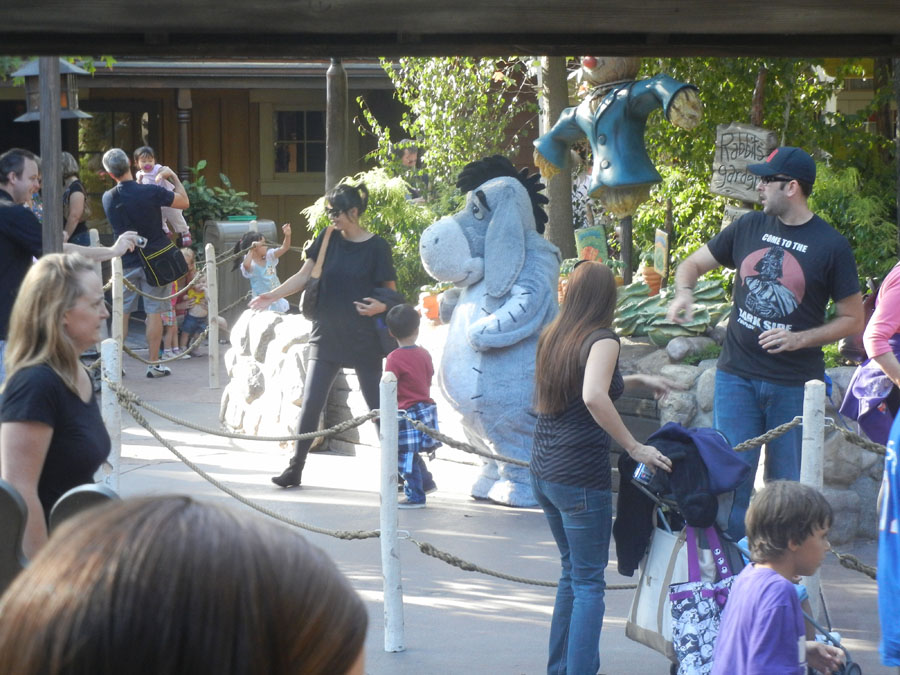 Disneyland Critter Country Riverside Picture